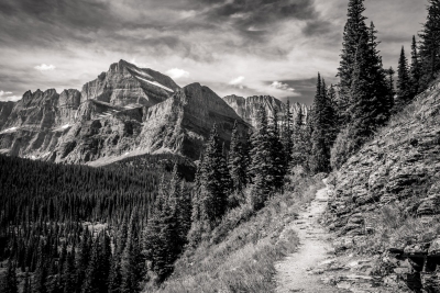 Path to Paradise