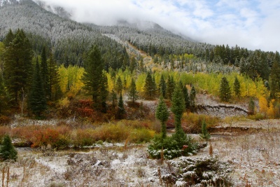 Moose Meadows