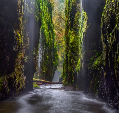 Oneonta Gorge