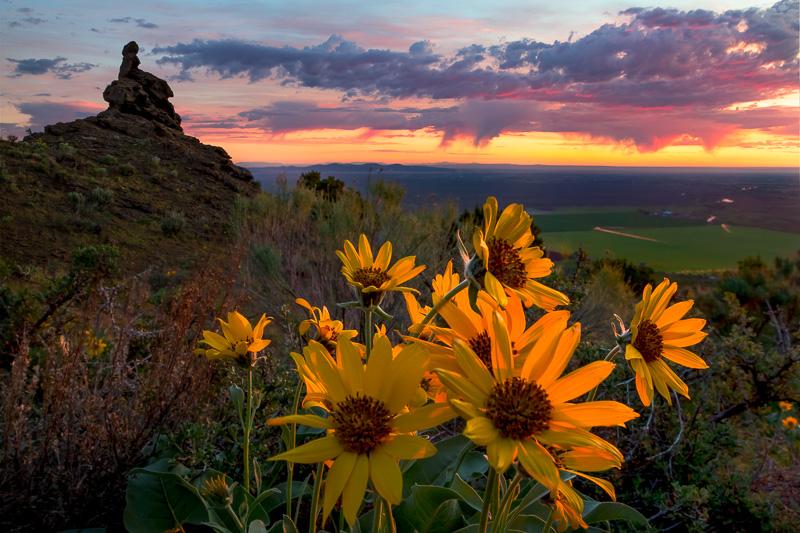 Spring sunrise on Menan Butte